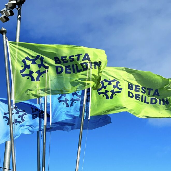 Colorful flags waving in the wind