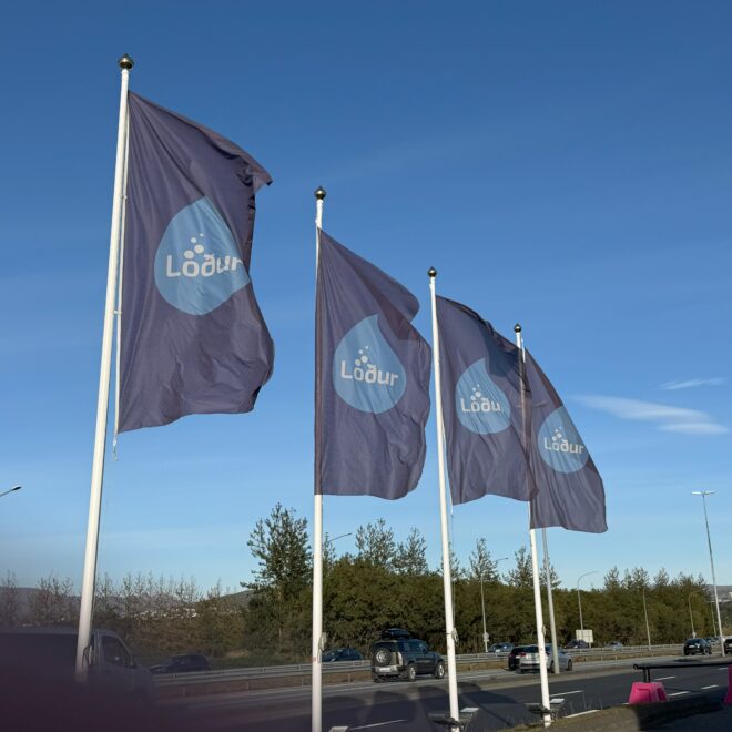 Four flags waving in the wind