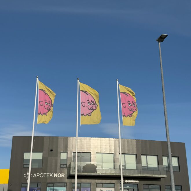 Three flags with cartoon pig design